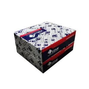 دیسک ترمز چرخ جلو عظام مدل EZ012 مناسب برای تیبا بسته 2 عددی - Image 2