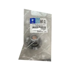 ترموستات ایساکو مدل 2569 مناسب برای سمند - Image 2