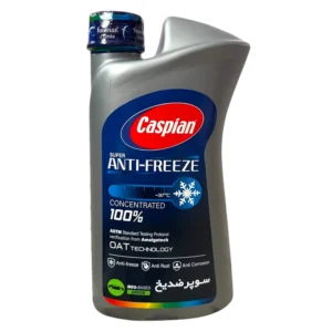 ضدیخ و ضدجوش 100 درصد خالص کاسپین مدل Four Seasons حجم 900 میلی‌ لیتر - Image 2
