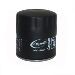 فیلتر هوای خودرو کاسپین مدل FC3137 به همراه فیلتر روغن مناسب برای پژو 405 - Image 2