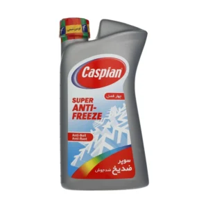 ضد یخ و ضد جوش کاسپین مدل چهار فصل حجم 1 لیتر - Image 2
