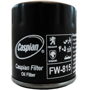 فیلتر روغن خودرو کاسپین مدل FW-815 مناسب برای سمند